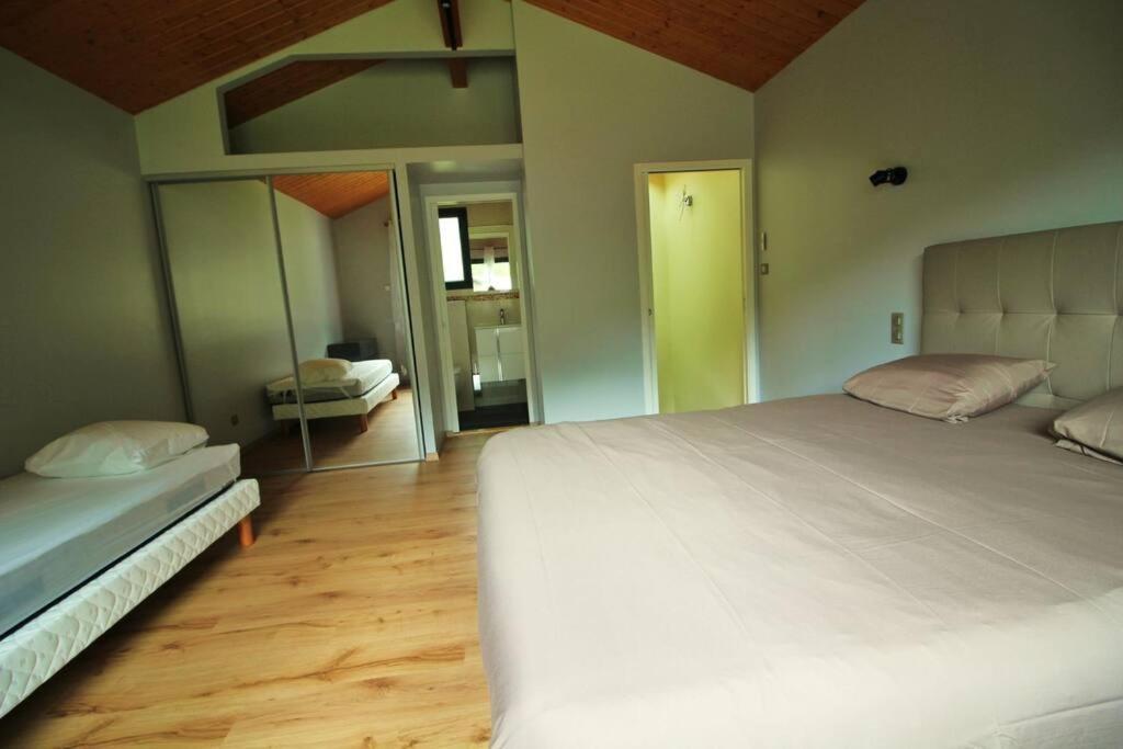 Grande Contemporaine Proche Randonnee Et Holiday home
