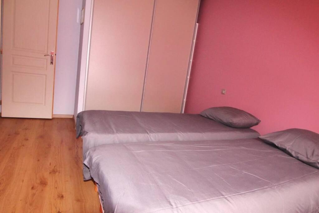 Grande Contemporaine Proche Randonnee Et Holiday home *